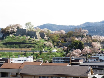 �Ż��ỳ����