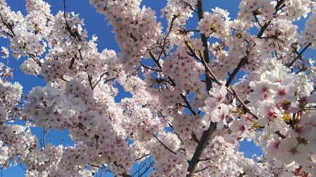 �����κ�