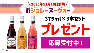 �ܥ���졼�̡������� �ץ쥼��� 2023 ����磻��