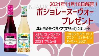 2021 �ܥ���졼�̡��ܡ� �ץ쥼���