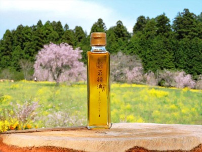 菜種油