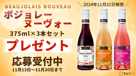 2024�ܥ���졼�ץ쥼��ȥХʡ�