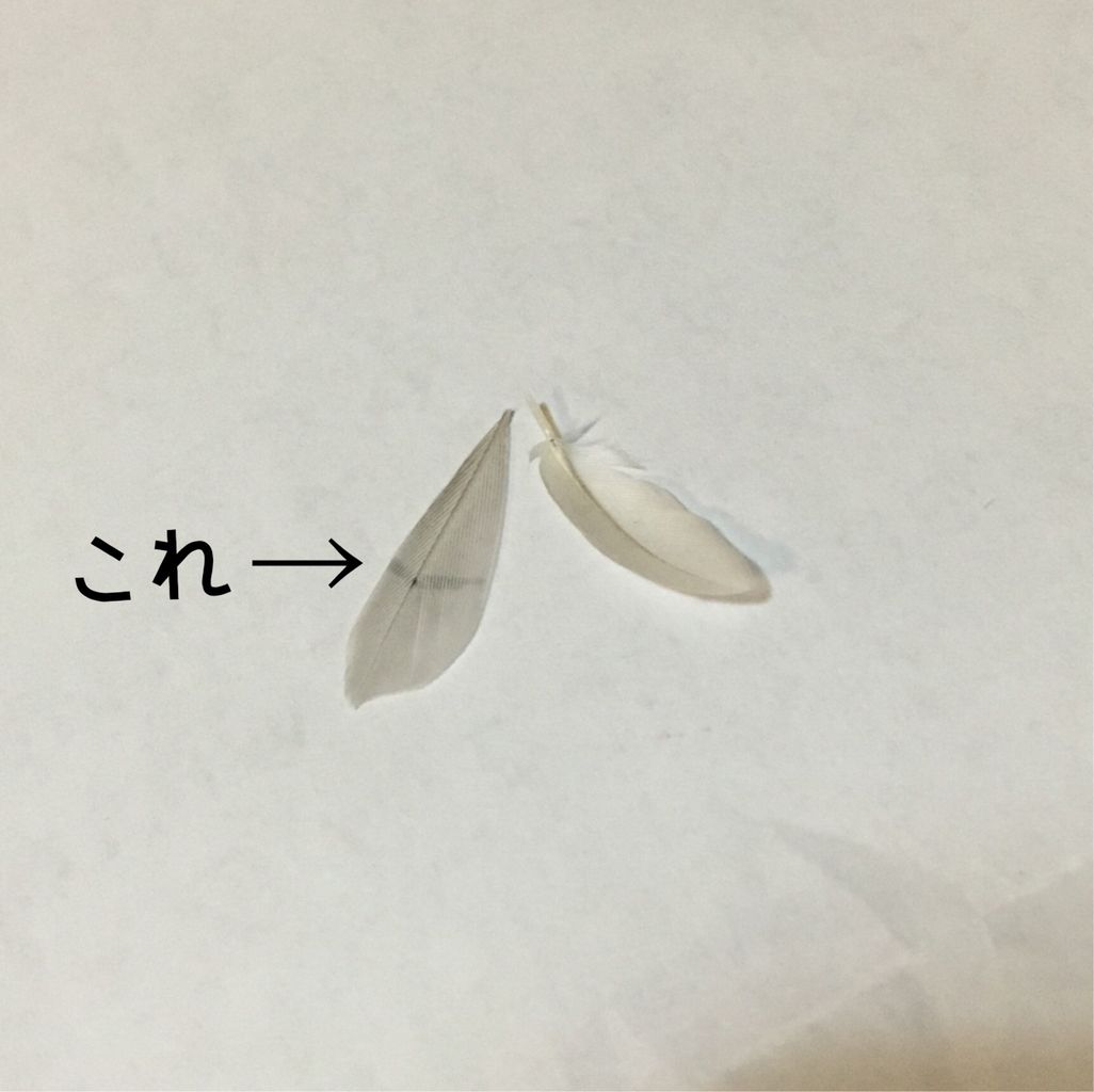 ストレスライン つくねぶんちょ ストレスライン つくねぶんちょ