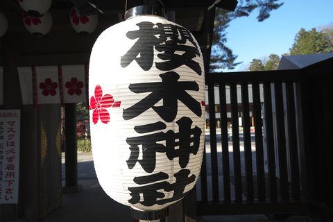 s-_DSC8492