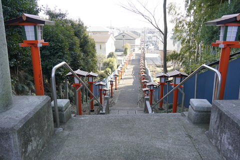 s-_DSC4866