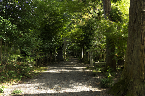 s-_DSC0958