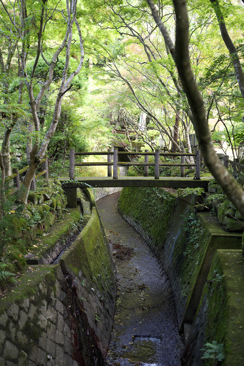 s-_DSC2571