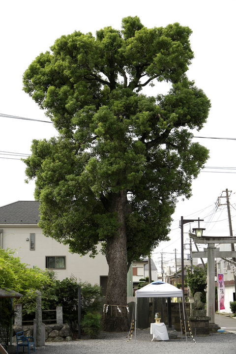 s-_DSC3607