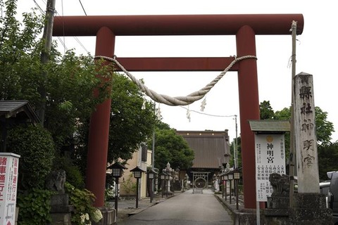 s-_DSC0437