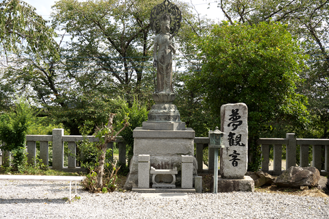s-_DSC3131