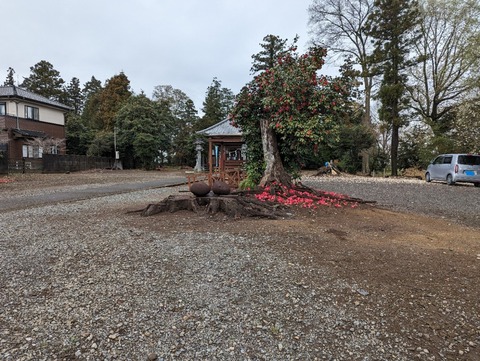 PXL_20230325_060230004
