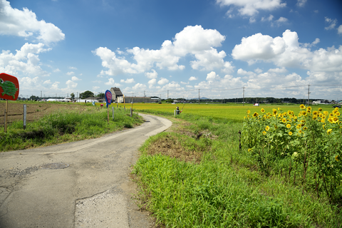 s-_DSC1523