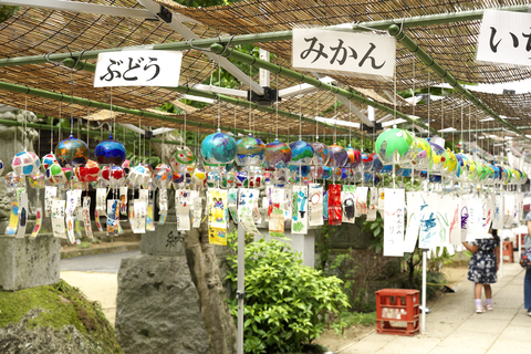s-_DSC2873