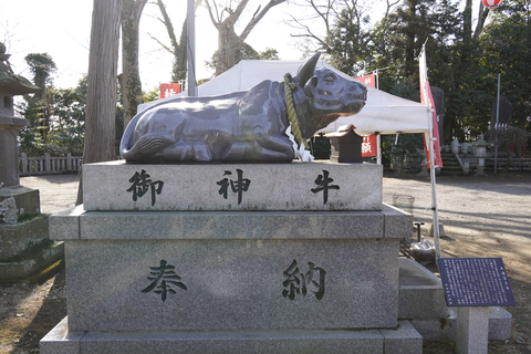 s-_DSC4127