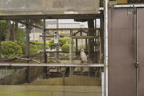 s-_DSC0498