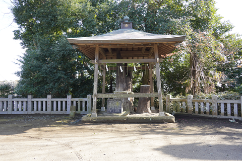 s-_DSC4133
