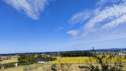IMG20220929135421