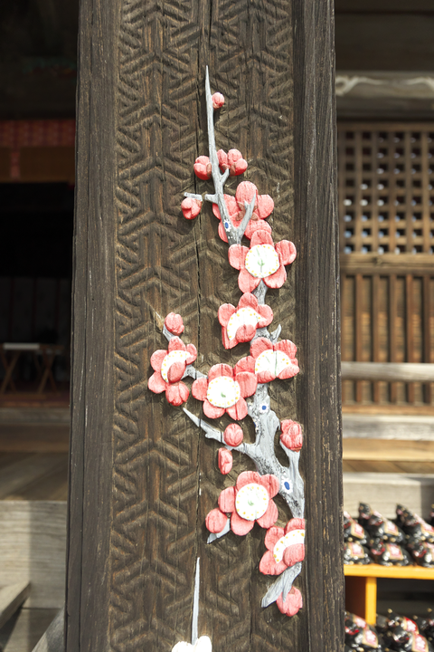 s-_DSC5780