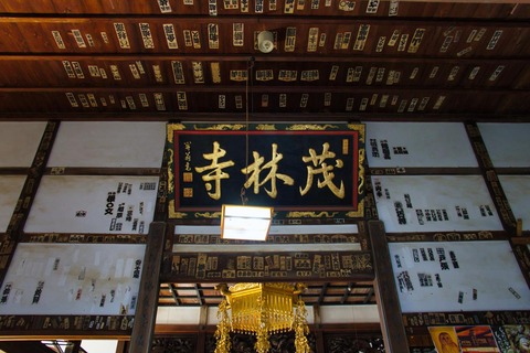 s-DSC02250