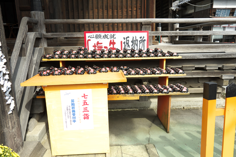 s-_DSC5779