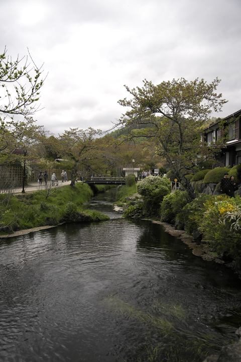 s-_DSC0647