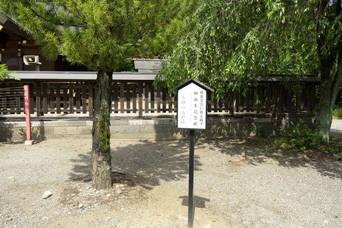 s-_DSC0924