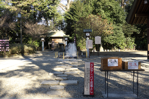 s-_DSC8505
