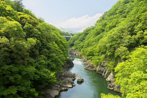 s-_DSC0926