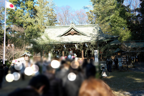 s-_DSC0379