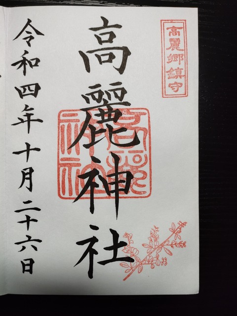 IMG20221103200330