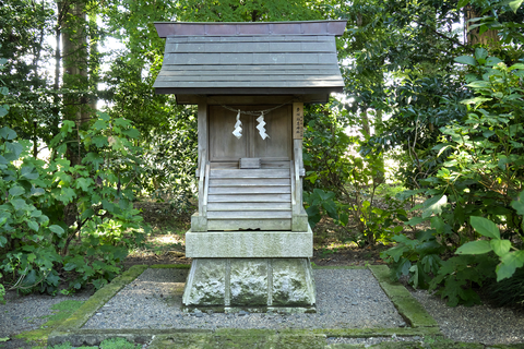 s-_DSC4026