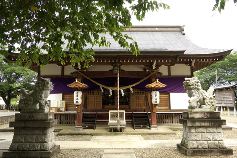 s-_DSC8172