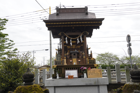 s-_DSC6882