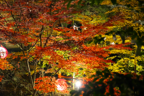 s-_DSC7818
