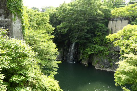 s-_DSC0927