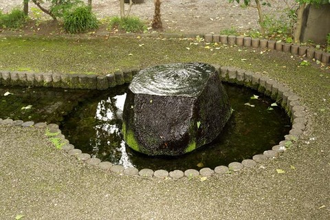 s-_DSC0463