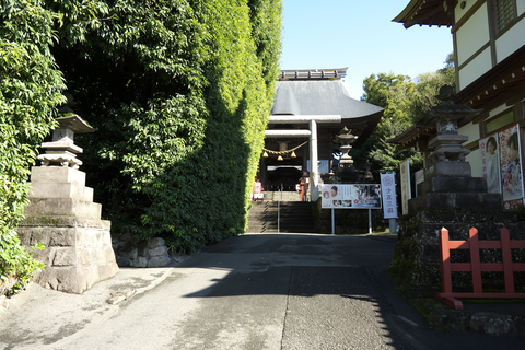 s-_DSC6707