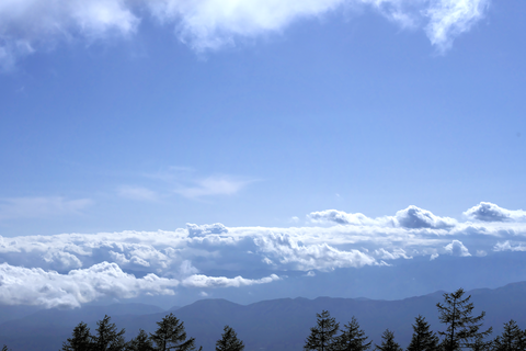 s-_DSC0815