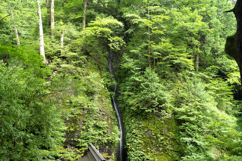 s-_DSC8465