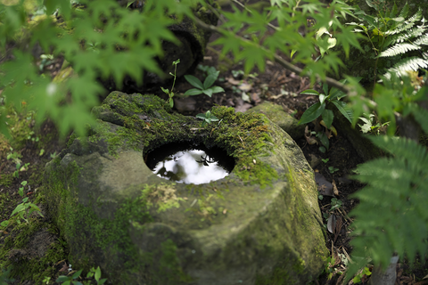 s-_DSC2570