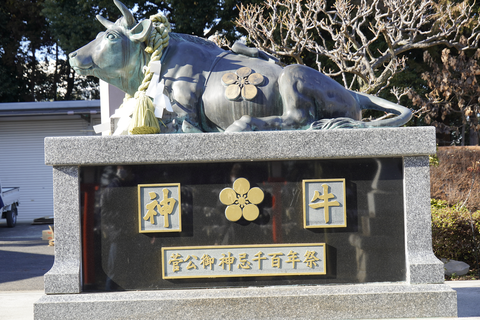 s-_DSC4869