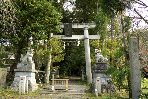 s-_DSC0956