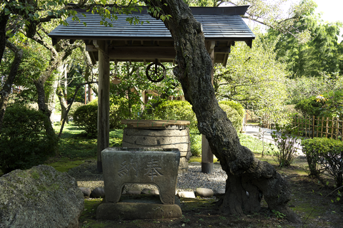 s-_DSC4029