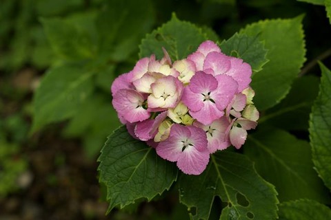 s-_DSC0349