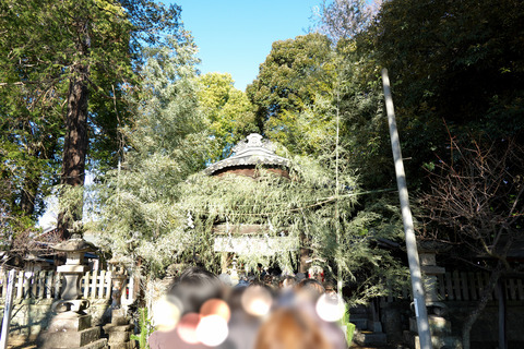 s-_DSC0376