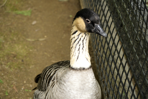 s-_DSC3024