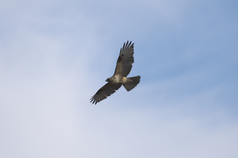 s-_DSC1084