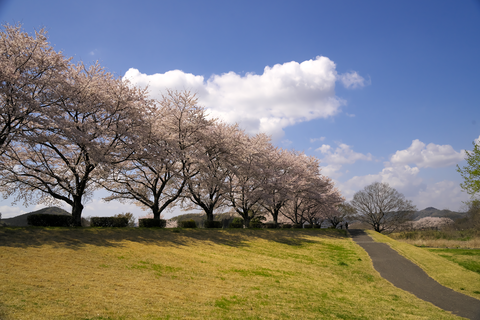 s-_DSC0481
