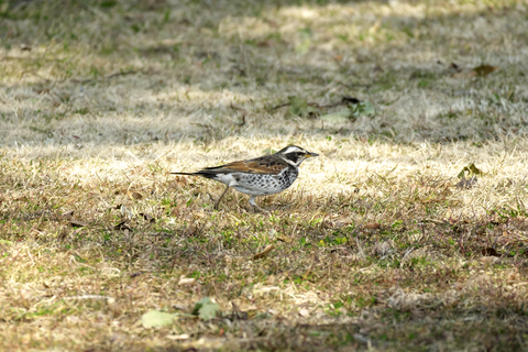 s-_DSC3463