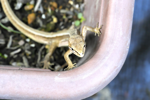 s-_DSC0522